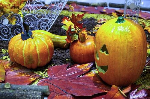 halloween candy, costumes, and more