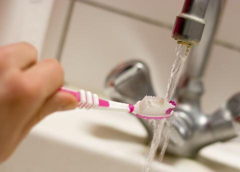 germs living on my toothbrush
